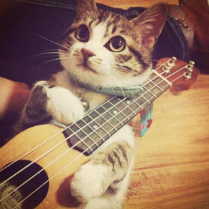 昨天14:40cc奶尤至尊微博 长屌爆操女人视频 玩
